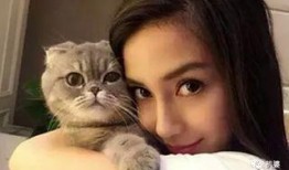 娱乐吃瓜猫咪视频大全,猫咪吃瓜视频大盘点