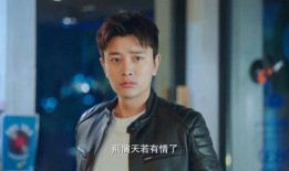 海哥前妻爆料视频,揭秘婚姻背后的惊人真相